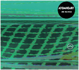 Morphogenetic Fields CD
