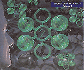 The Secret Life Of Trance Volume 2 2xCD