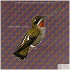Semiacoustic Nature