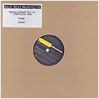 What Does It All Mean? 12"