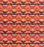 [donkey rhubarb]