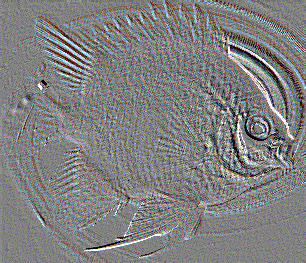 Fish Emblem