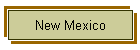 New Mexico